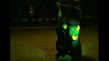 I will not give up fucking the insatiable 50 year old milfs