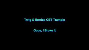 Oops I Broke It