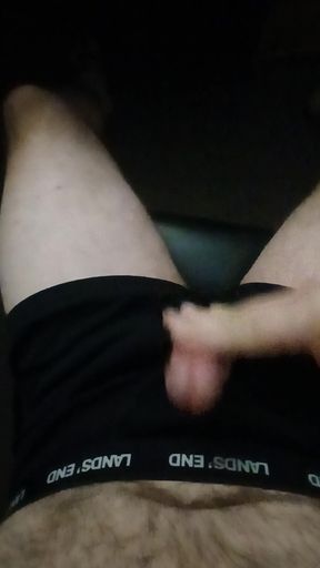 Jerking in black Lands End boxerbriefs