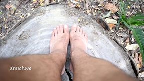 feet in cut trunk