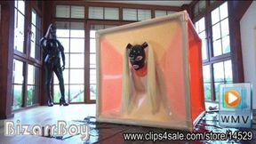 Latex Lea Anderson - Lola Noir - The Orgasm In The Vac Cube - wmv