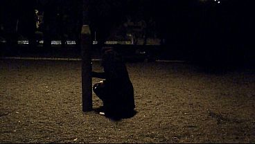 Sucking my dildo in the park, waiting for someone to catch me