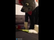 Rubber wolf fucking dragon muzzle