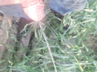 Aged big shlong peeing outdoor in front yard