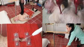 Young Mistress Terror 78 wmv