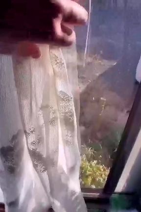 Asian double creampie