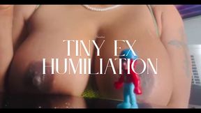 Shrunk Ex Boyfriend Degradation - Cheater's Humiliation
