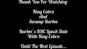 swamp barbees bbc lunch date with king cobra