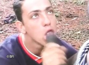 Brasil trans passion 11
