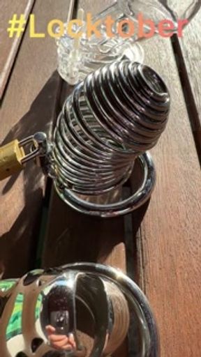 Locktober is here!! Which cage should we use???