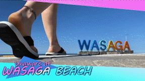 Unaware At Wasaga Beach - HD 1080p Version