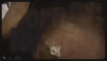 Monika Fox Hardcore Anal & Squirt Action