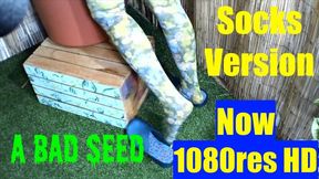 A Bad Seed - sockfeet 1080res HD