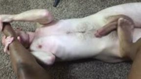 foot slave training - Beneath Her Toes: Worshipping Goddess MXDominion’s Divine Feet, femdom, foot worship, goddess worship 1080 smaller