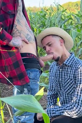 I Got Lost in the Cornfield and Needed Help From the Hot Young Farmer.