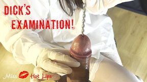 Amateur Femdom, Dicks Examination And Intense Post Orgasm Handjob