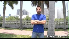 Wild wang riding inside a car