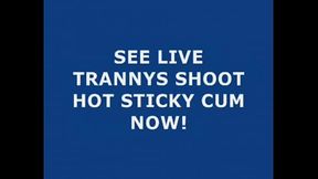 Live Tranny Cum 116