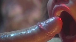 Ho Chi Minh Hos - Exotic City Nights