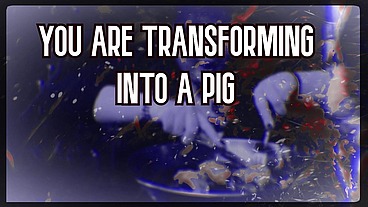 You are Transforming into a pig