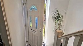 Tight ropes for Rara the secretary wmv