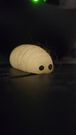 Margot the Maggot