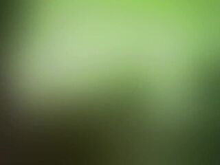 Xxx vids full naked sex clips vids hd