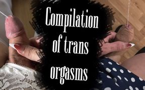Compilation of Trans Orgasms #6