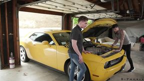 Bi Phoria Flying Bi Scene