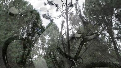 Bike ride ended with hard sex in the middle of the forest with my new friend.