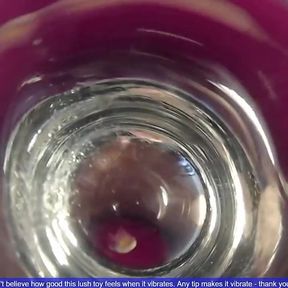 Fat Glass Dildo Inside View