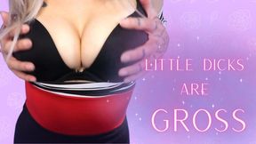 Little Dicks Are Gross