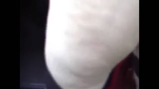 Chubby german wife gets outdoor creampie