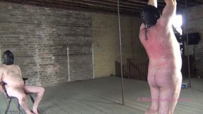 Bull whipping