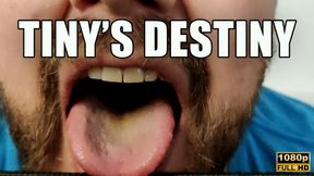KingMarti: Tiny's Destiny  - FHD