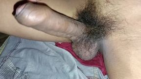 The cock erect
