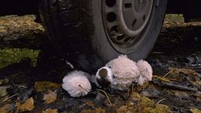 Your beloved teddy is destroyed under my muddy tires (small version)