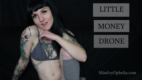 Little Money Drone
