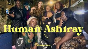 Public Human Ashtray Bitch | Goddess Satin Group Domination Humiliation Smoking Fetish Spit Spitting Hot Dommes Female Domination Femdom Interracial