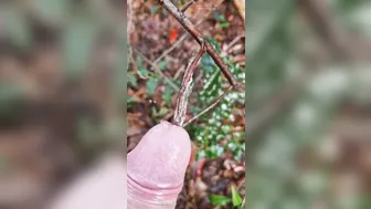 Uncut Dutch Guy Pissing Outdoors with Tree Branch in Cock
