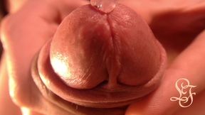 my shiny dick wants to give you a kiss