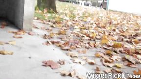 Euro street lady gets pounded and filmed by eager customer