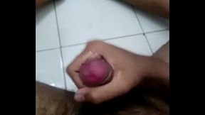 MOV 2901