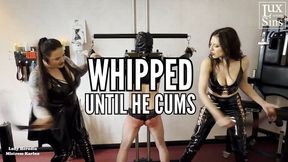 Whipped Until He Cums: Femdom Whipping with Lady Herodia and Mistress Karino (MOV)