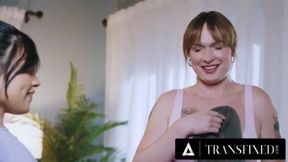 Transsexuelle