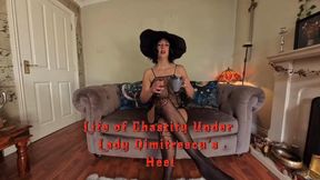 Life of Chastity Under Lady Dimitrescu' Heel - POV