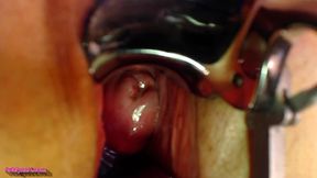 adalynnx - showing you all of my girl holes