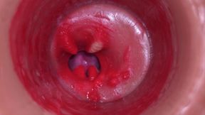 Super Cum in Vagina. Excellent Internal Camera. 4K