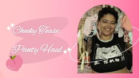Cheeky Tease: Panty Haul