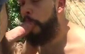 Bear cruising in the woods